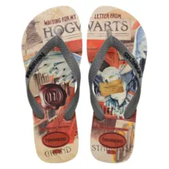 SANDALIA HAVAIANAS TOP WARNER CLASSICS TOM E JERRY 24.25