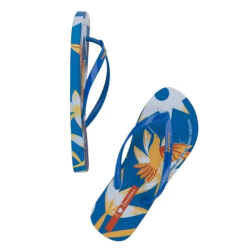 Chinelo Ipanema Arte Estampado Original