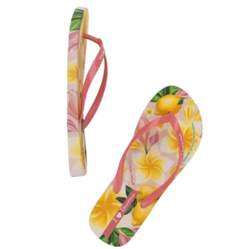 Chinelo Ipanema Arte Estampado Original