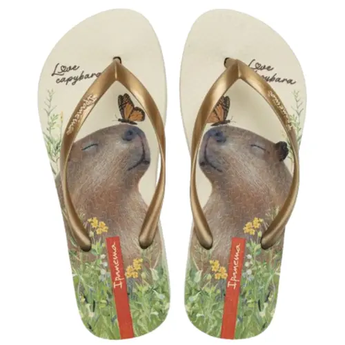 Chinelo Ipanema  My Pets Acompanha Chaveiro