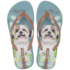 Chinelo Ipanema  My Pets Acompanha Chaveiro