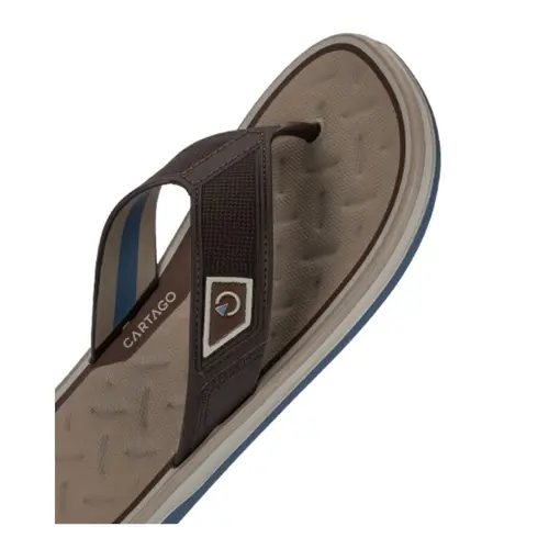 Chinelo Cartago Malaga Sport Masculino