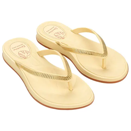 Chinelo Ipanema Shine Adulto Feminino Casual Confortável