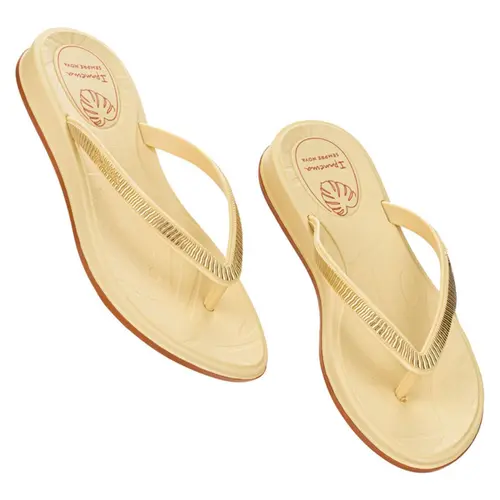 Chinelo Ipanema Shine Adulto Feminino Casual Confortável
