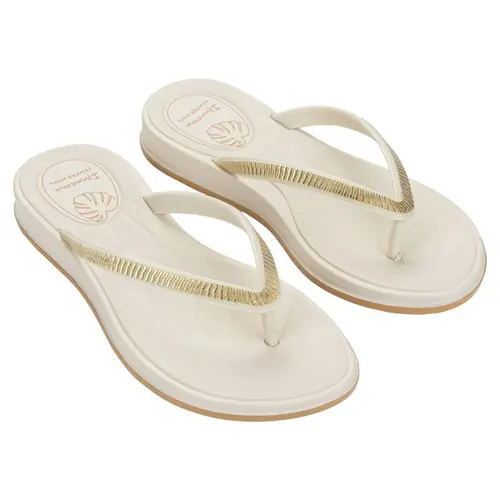 Chinelo Ipanema Shine Adulto Feminino Casual Confortável