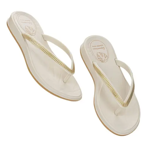 Chinelo Ipanema Shine Adulto Feminino Casual Confortável